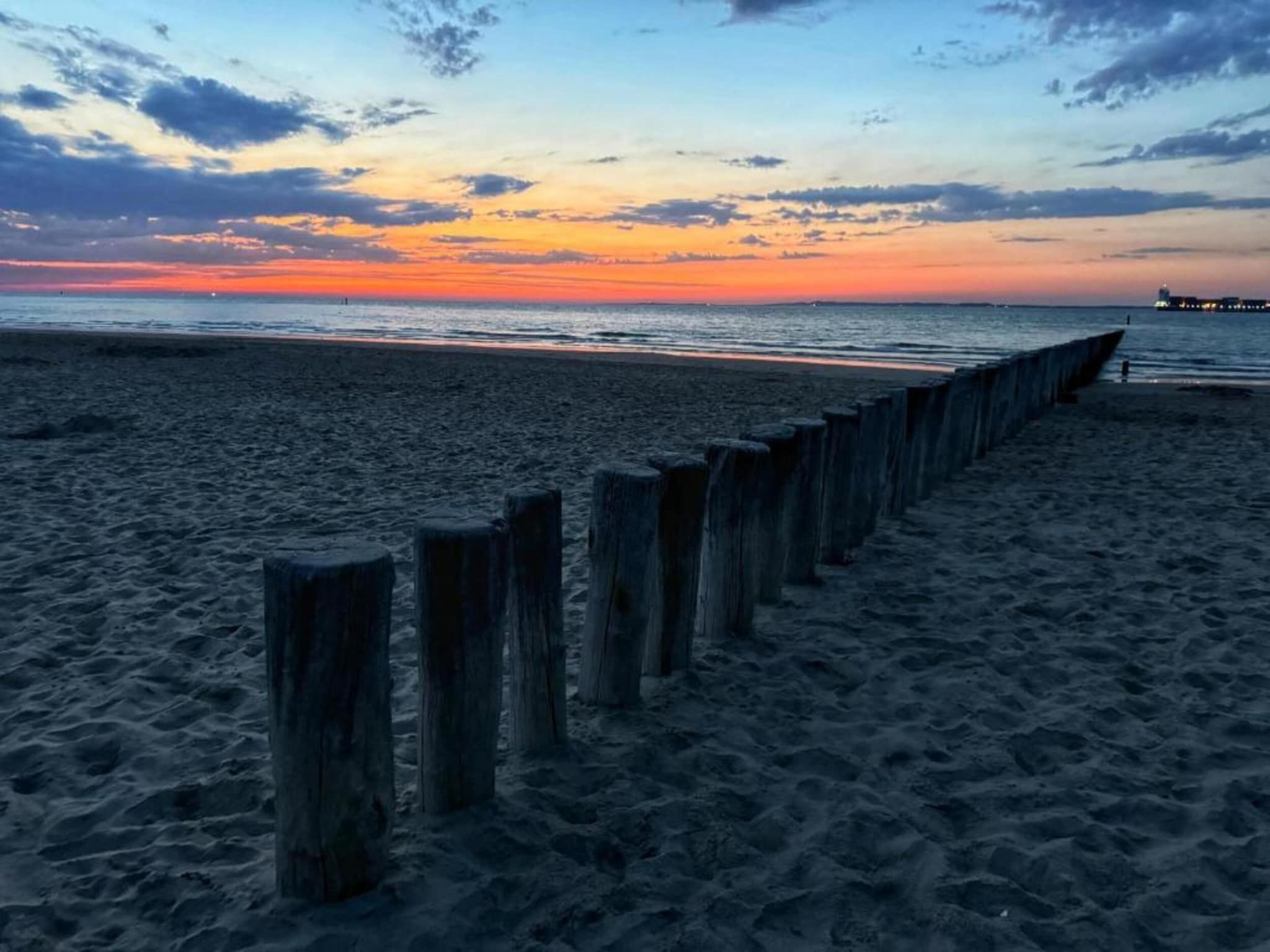 Krokus 18 in Breskens - Foto 38 van 39