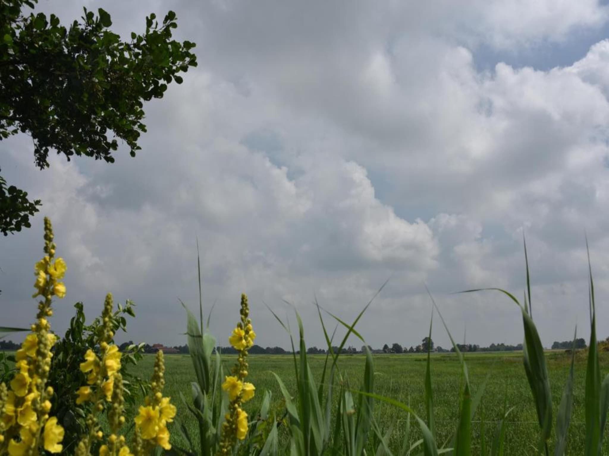 Friese Meren Villa's 10 in Delfstrahuizen - Foto 36 van 40