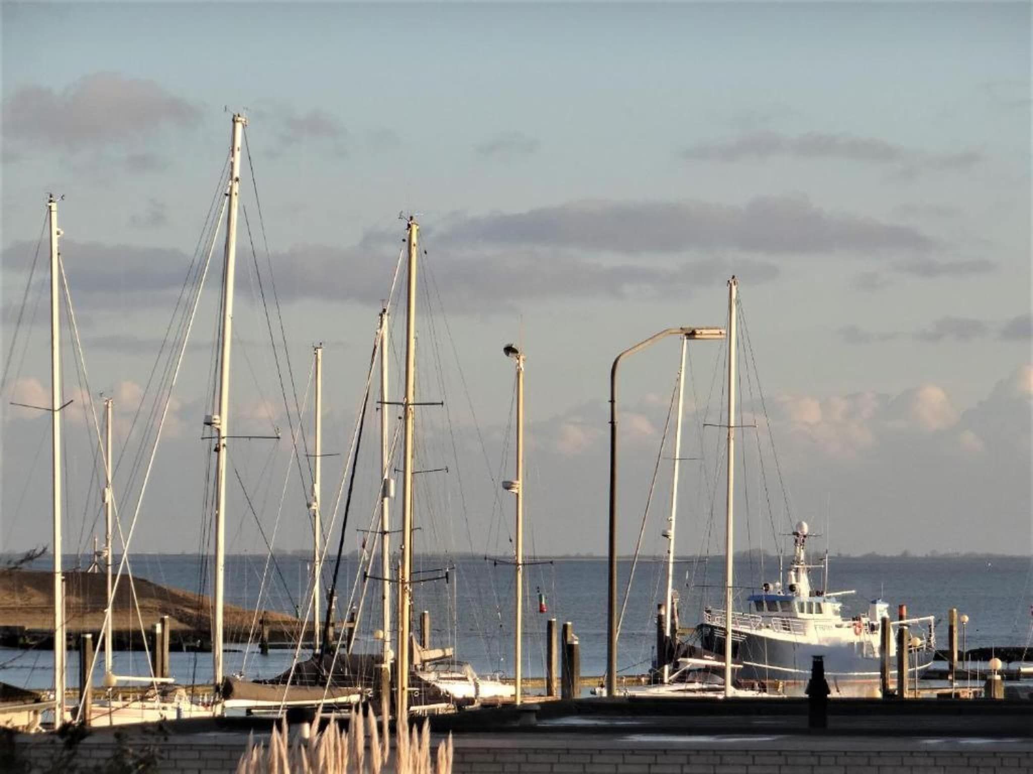 De omgeving van Noordzee Résidence De Banjaard 16 in Kamperland