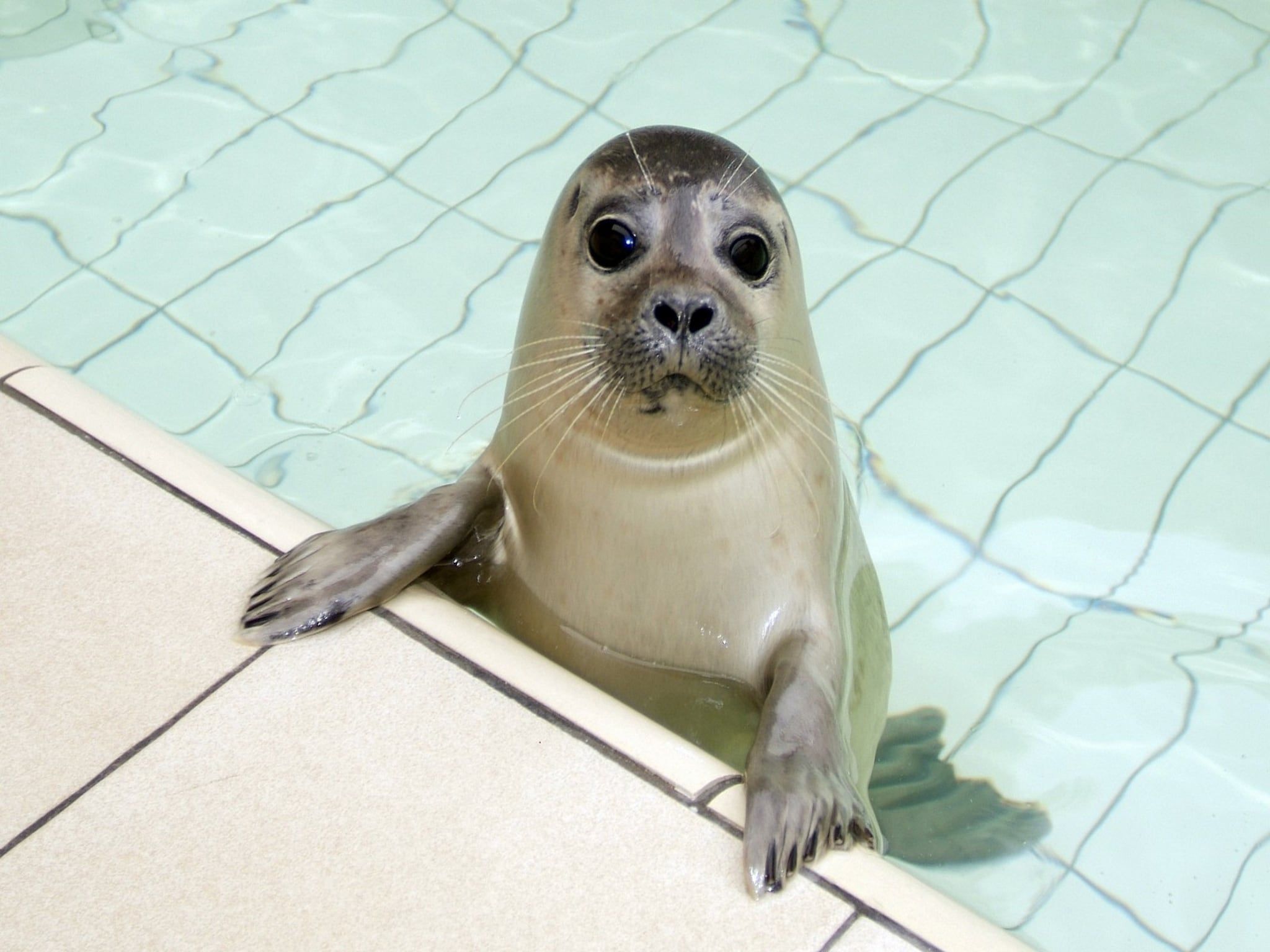 De omgeving van So What 21 in De Koog Texel