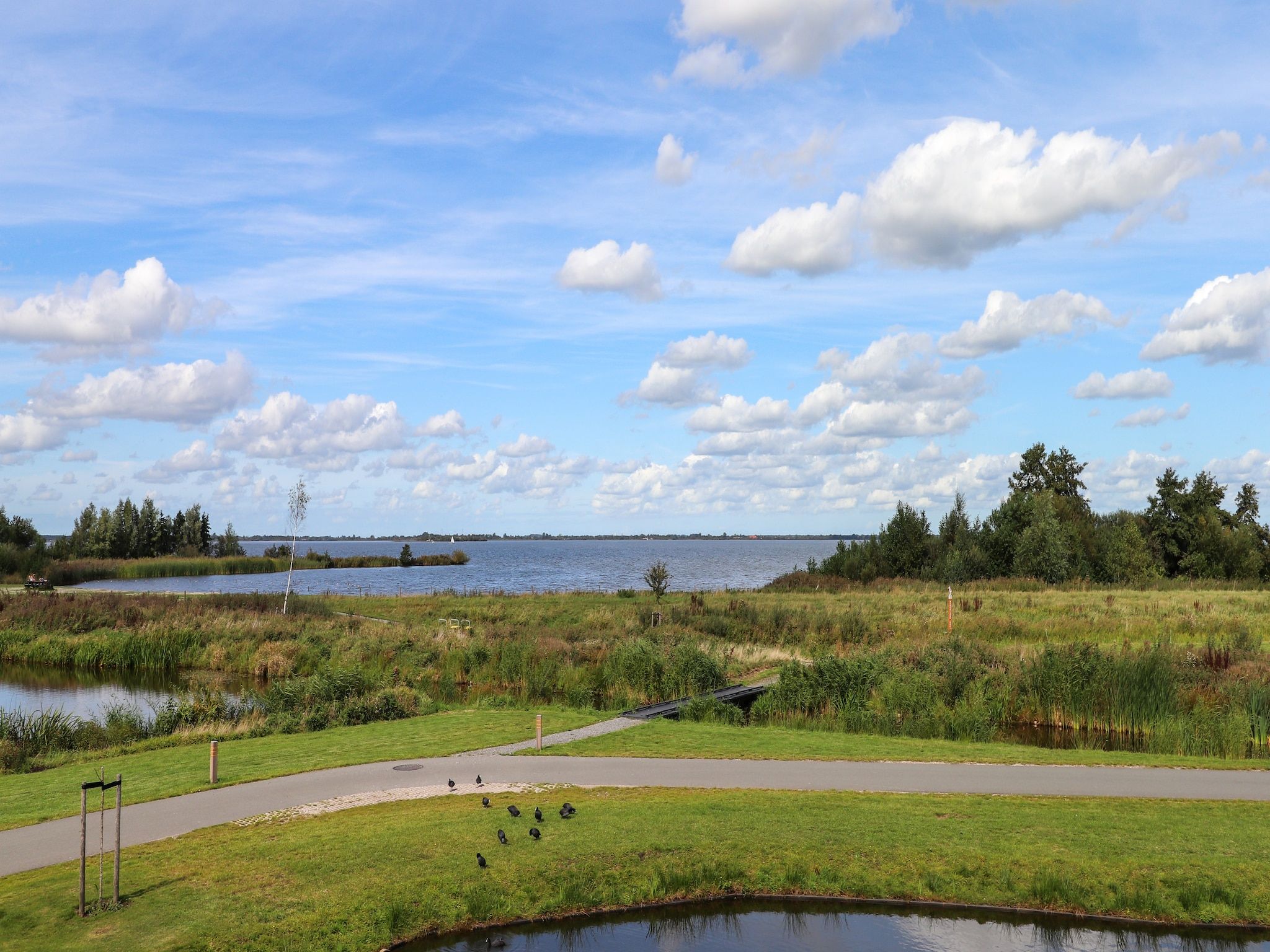 Het uitzicht vanaf Friese Meren Villa's 12 in Delfstrahuizen