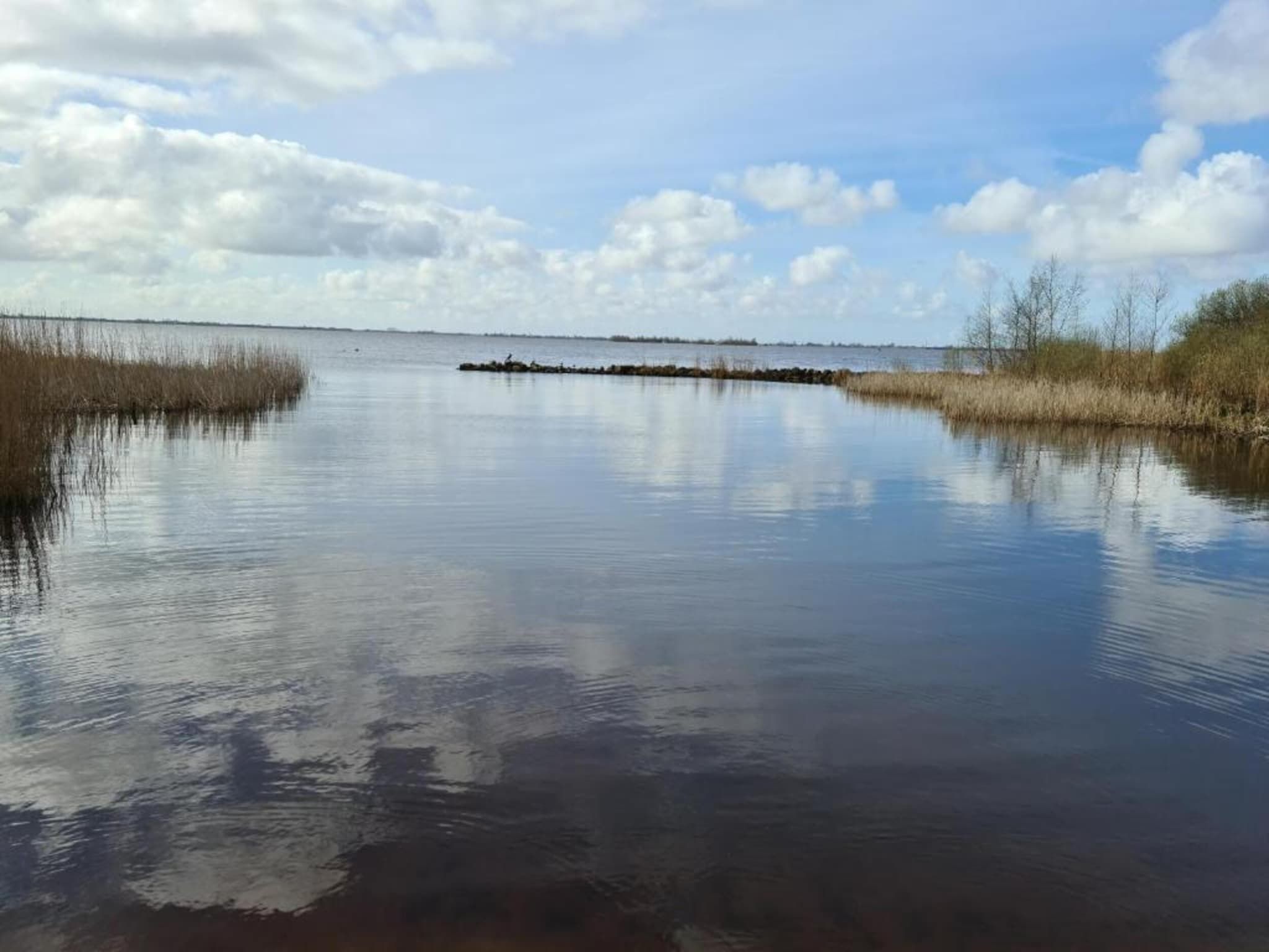 Friese Meren Villa's 14 in Delfstrahuizen - Foto 25 van 40