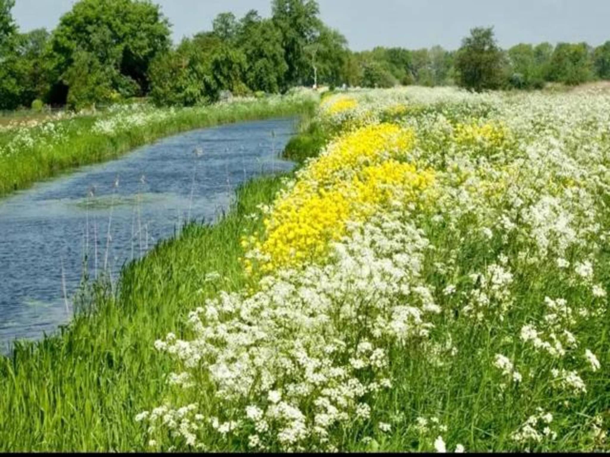 Friese Meren Villa's 15 in Delfstrahuizen - Foto 37 van 40