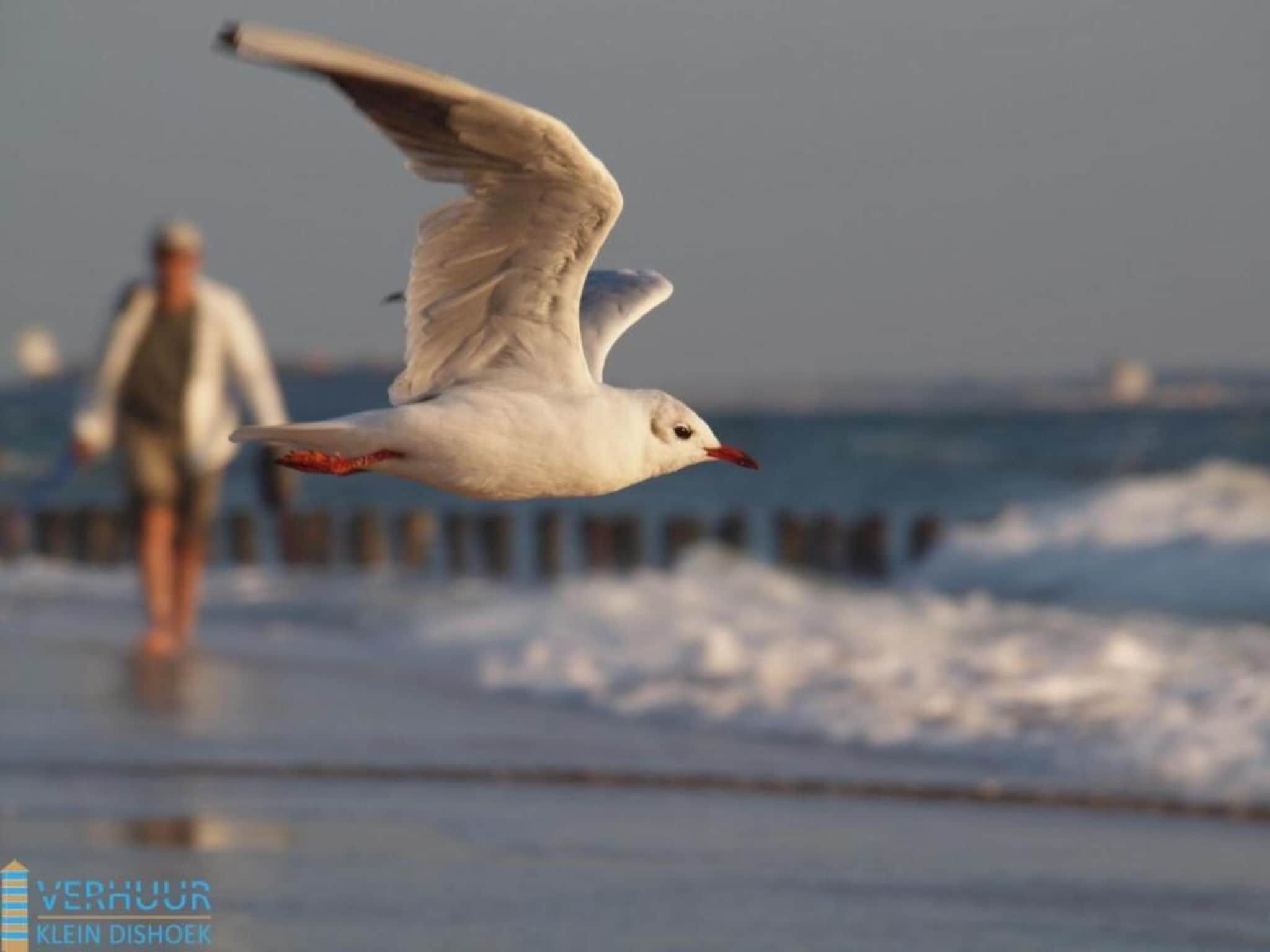 Sfeerbeeld van Noordzee Résidence Dishoek 14 in Kamperland