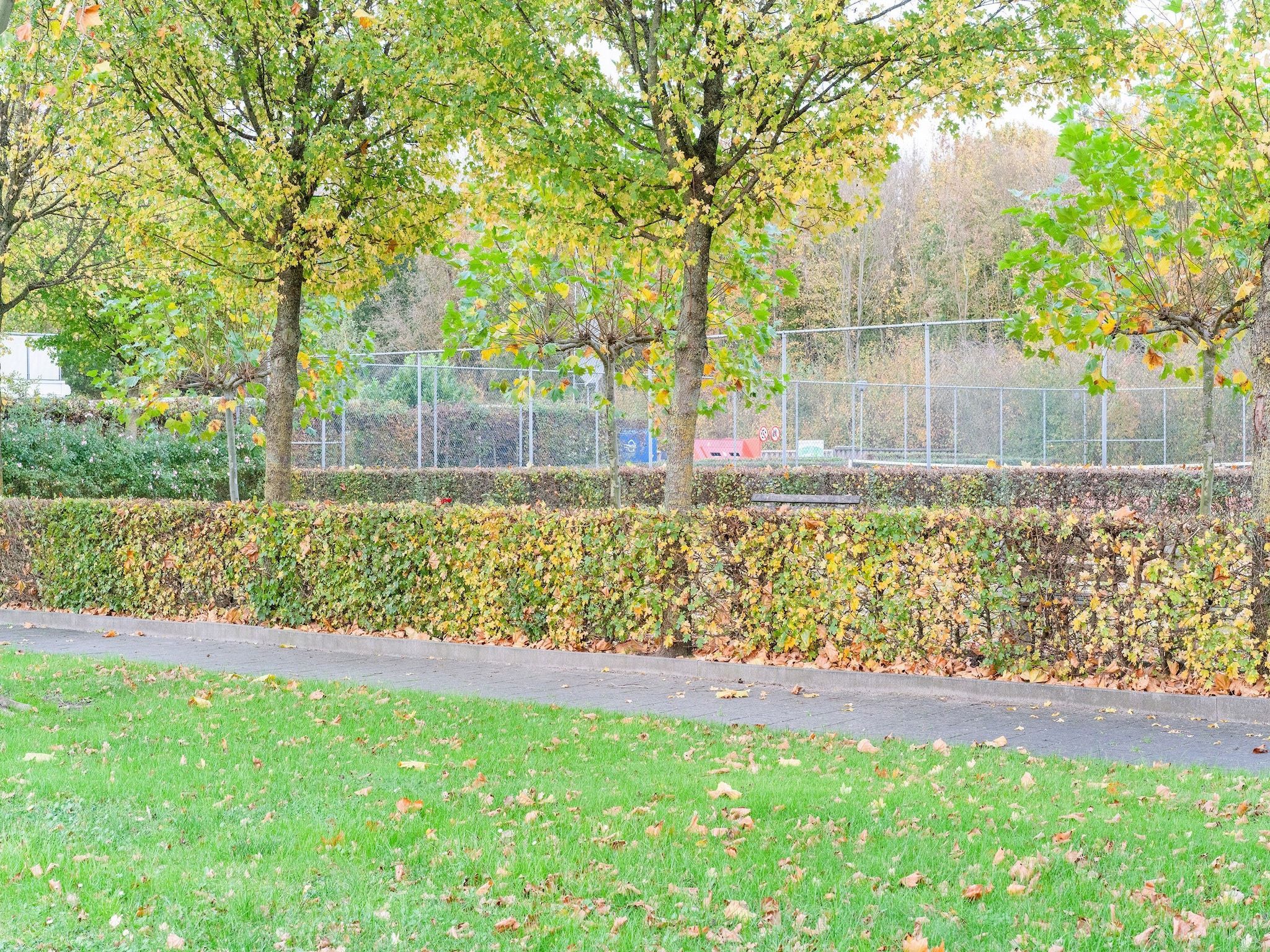 De tuin van Zonnig Hosterwold in Zeewolde