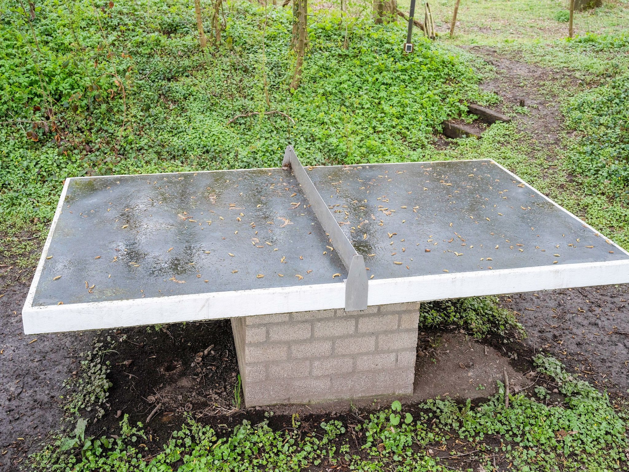 Parkfaciliteiten bij De Wingerd 10P in Ulestraten