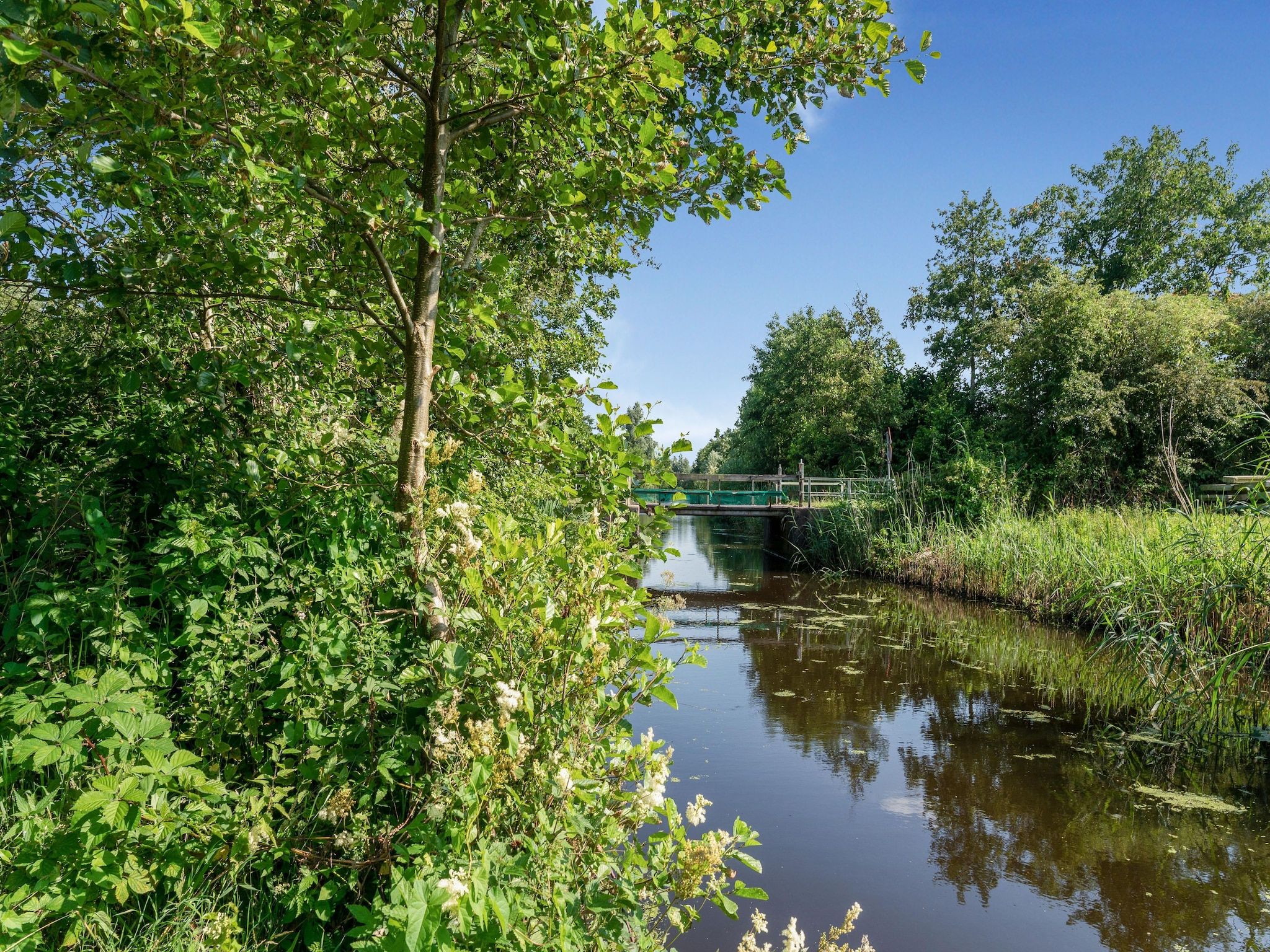 Het uitzicht vanaf Boerderij Koatstertille in Friesland