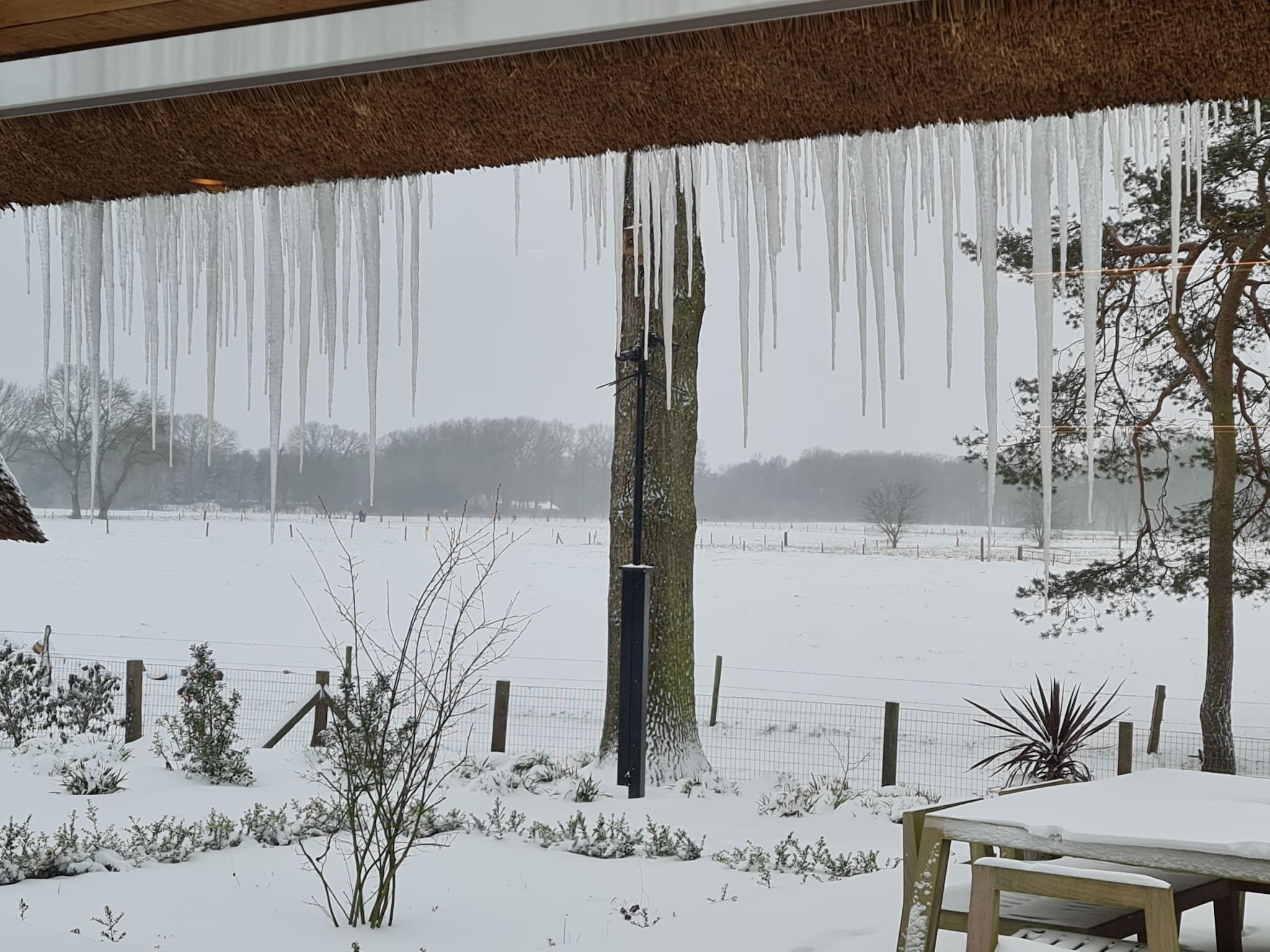 Het uitzicht vanaf Erve Olde Sasbrink in Nijverdal