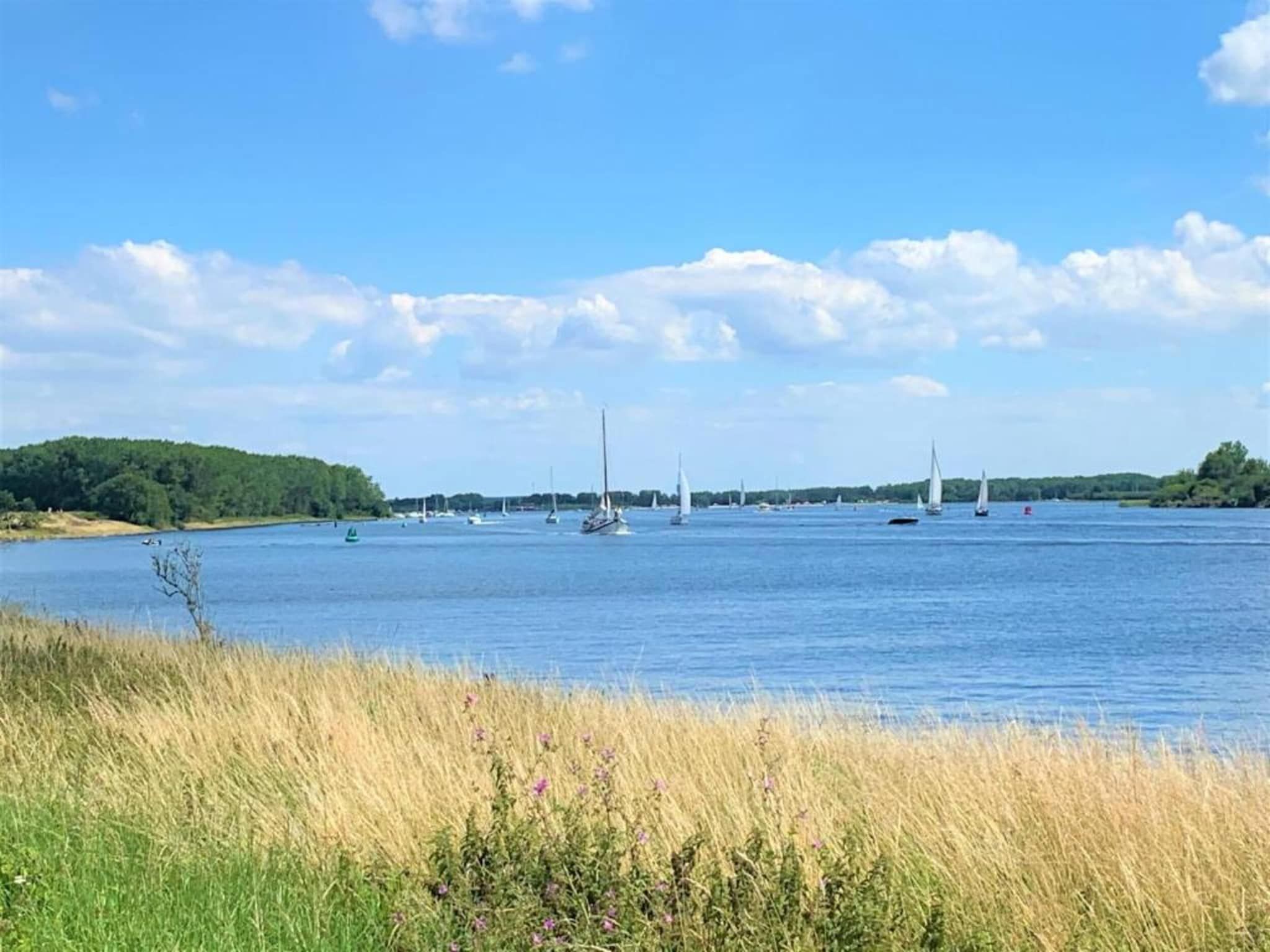 Oostkapelseweg 32 -Ooievaar in Serooskerke - Foto 37 van 40