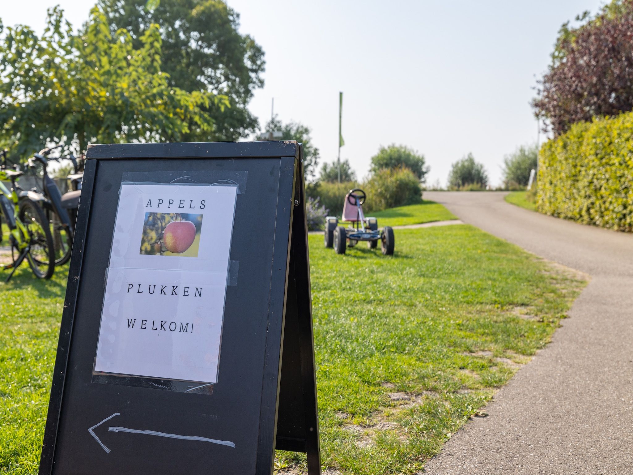 Vroondijk 2-Zeebloesempje in Vrouwenpolder - Foto 39 van 40