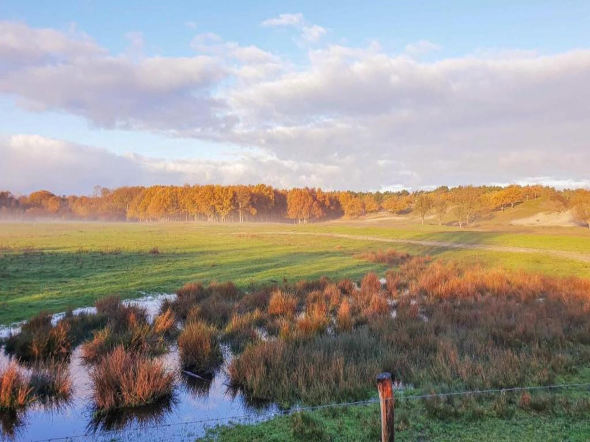 Buitenhof Domburg  15 in Domburg - Foto 21 van 33
