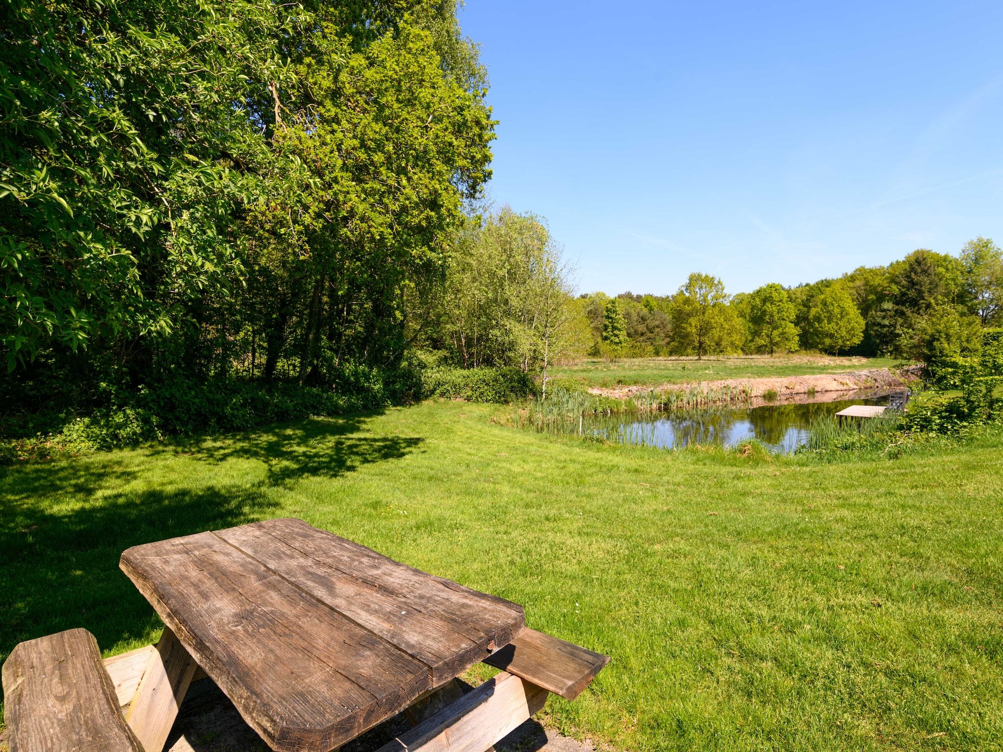 De tuin van Vakantiepark Emslandermeer 13 in Vlagtwedde