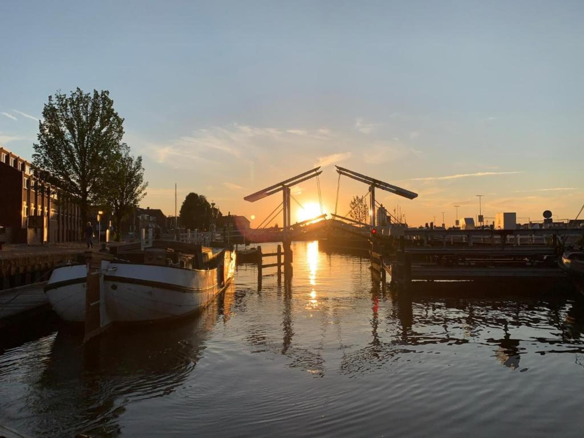 De Trots van de Konijnenberg in Harderwijk - Foto 40 van 40