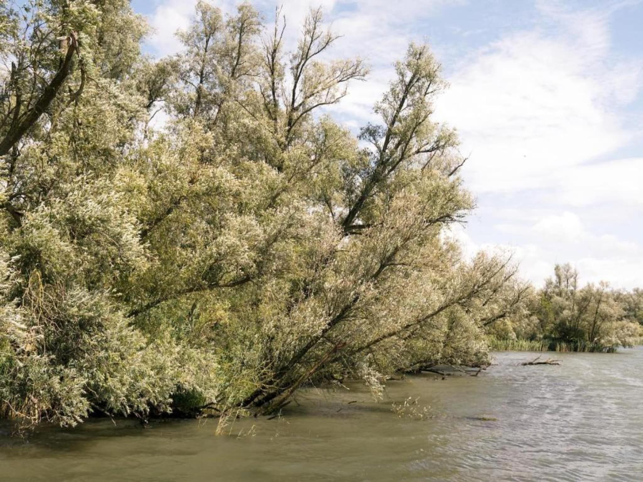 De omgeving van Vakantiepark de Katjeskelder 17 in Oosterhout