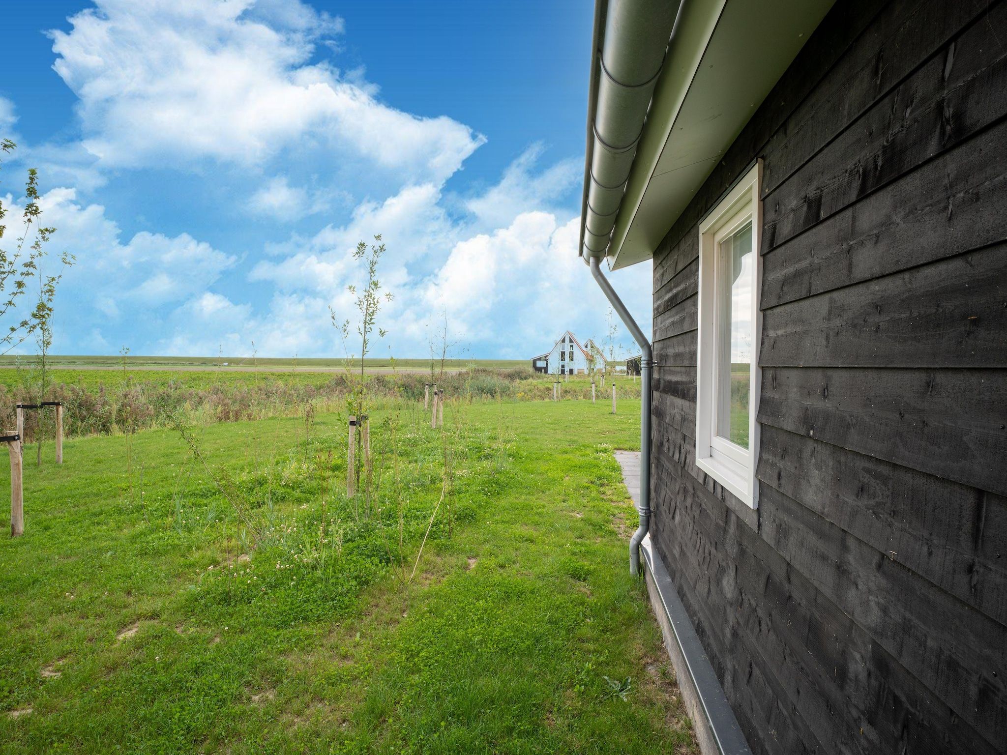Het uitzicht vanaf De Kluut Huis Nr 12 in Scherpenisse
