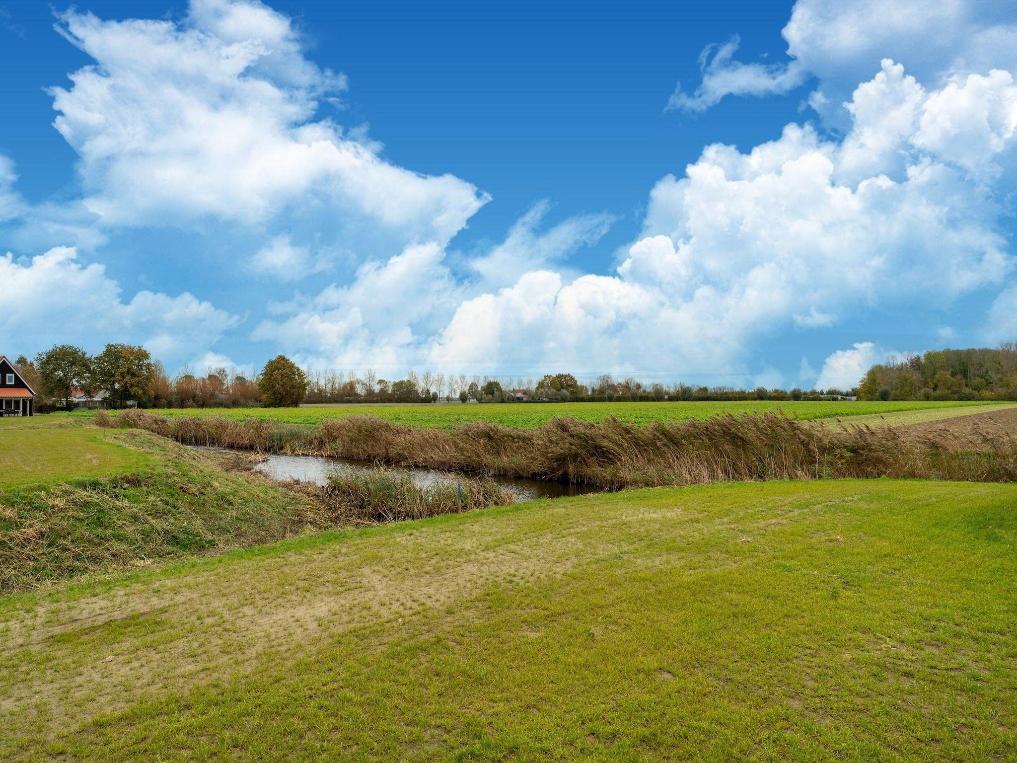 De tuin van De Reiger Huis Nr 46 in Scherpenisse