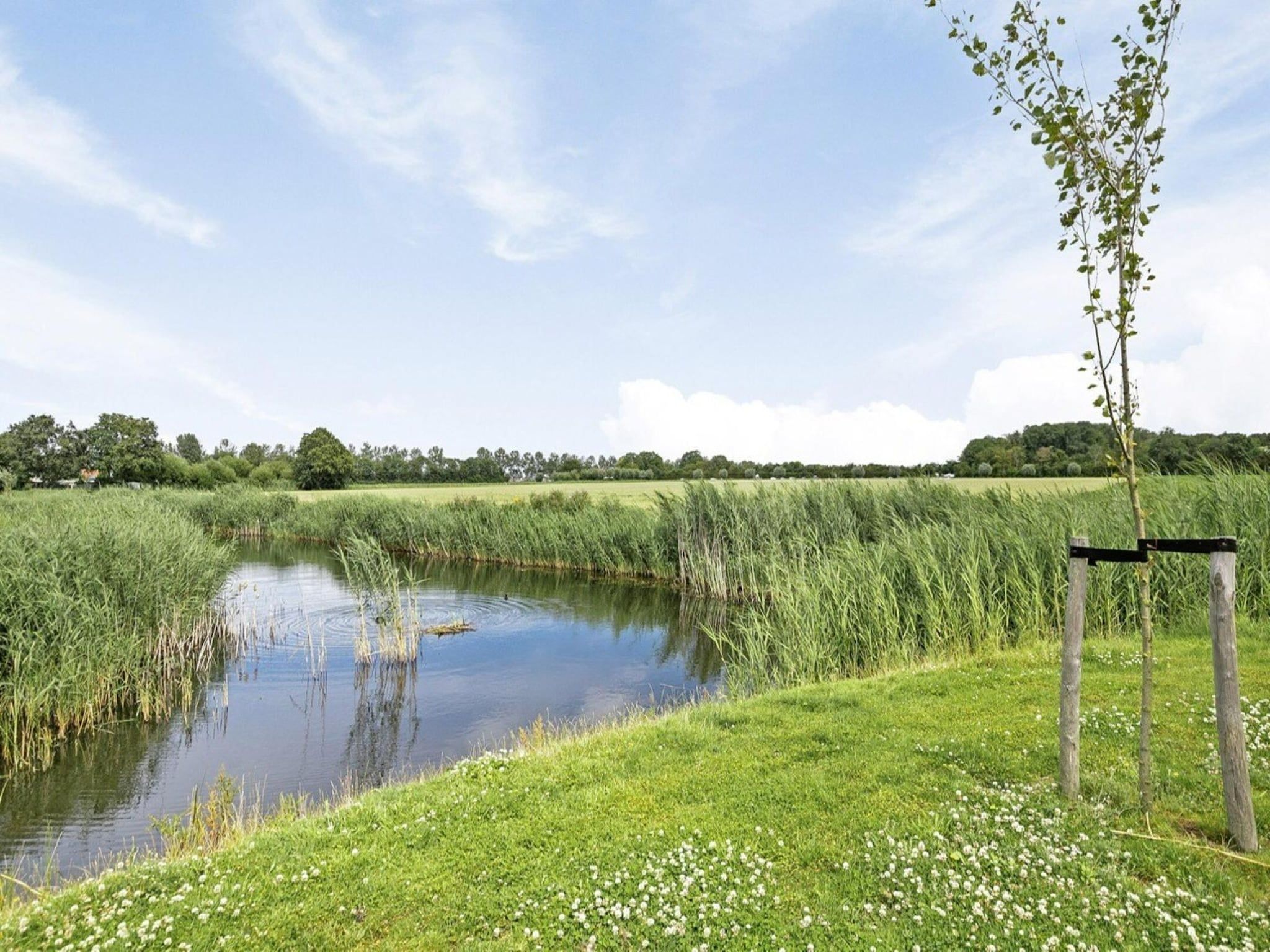 Het uitzicht vanaf De Ooievaar Huis Nr 47 in Scherpenisse