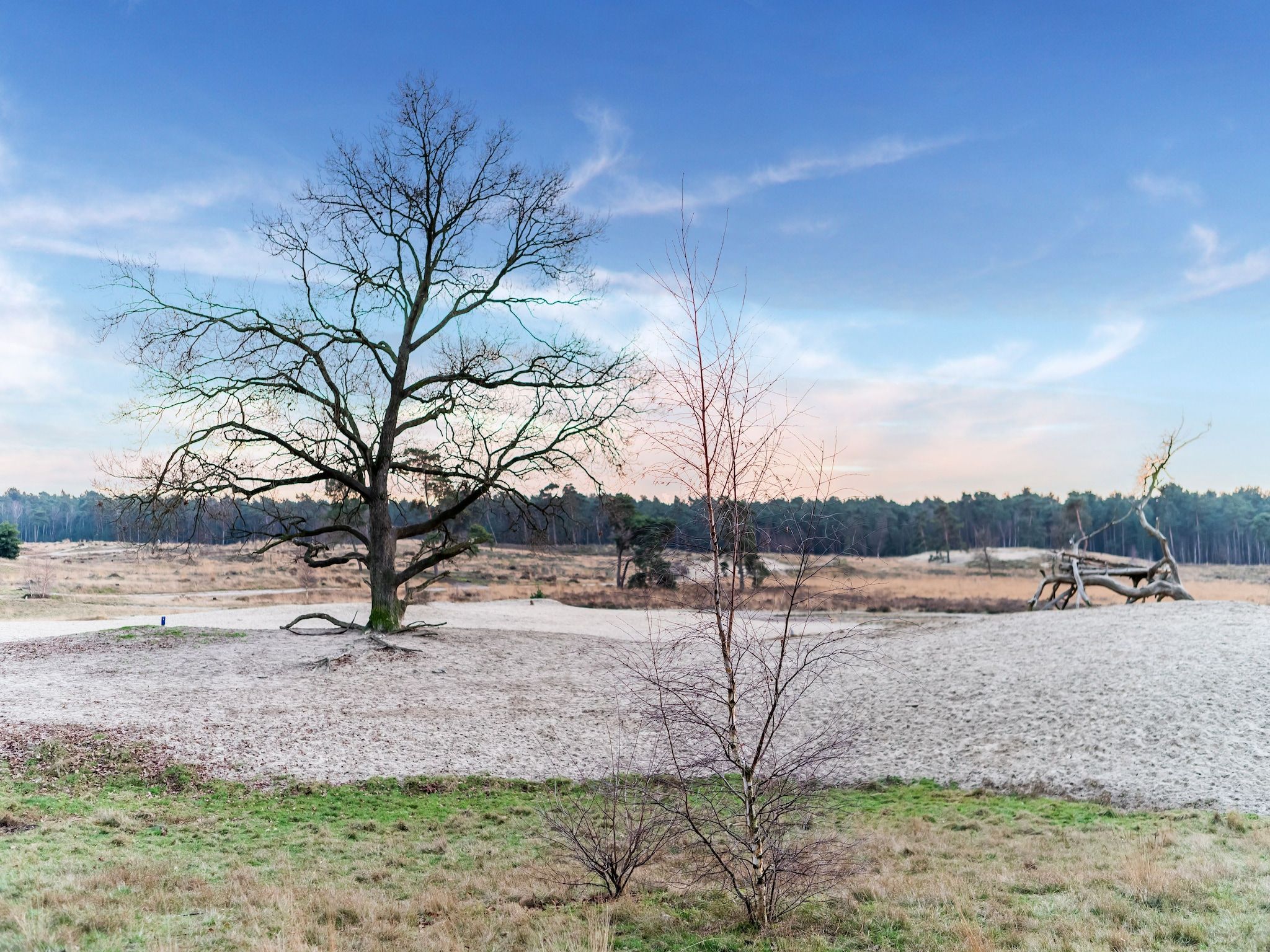 De omgeving van Villa Loonse Duinen in Drunen