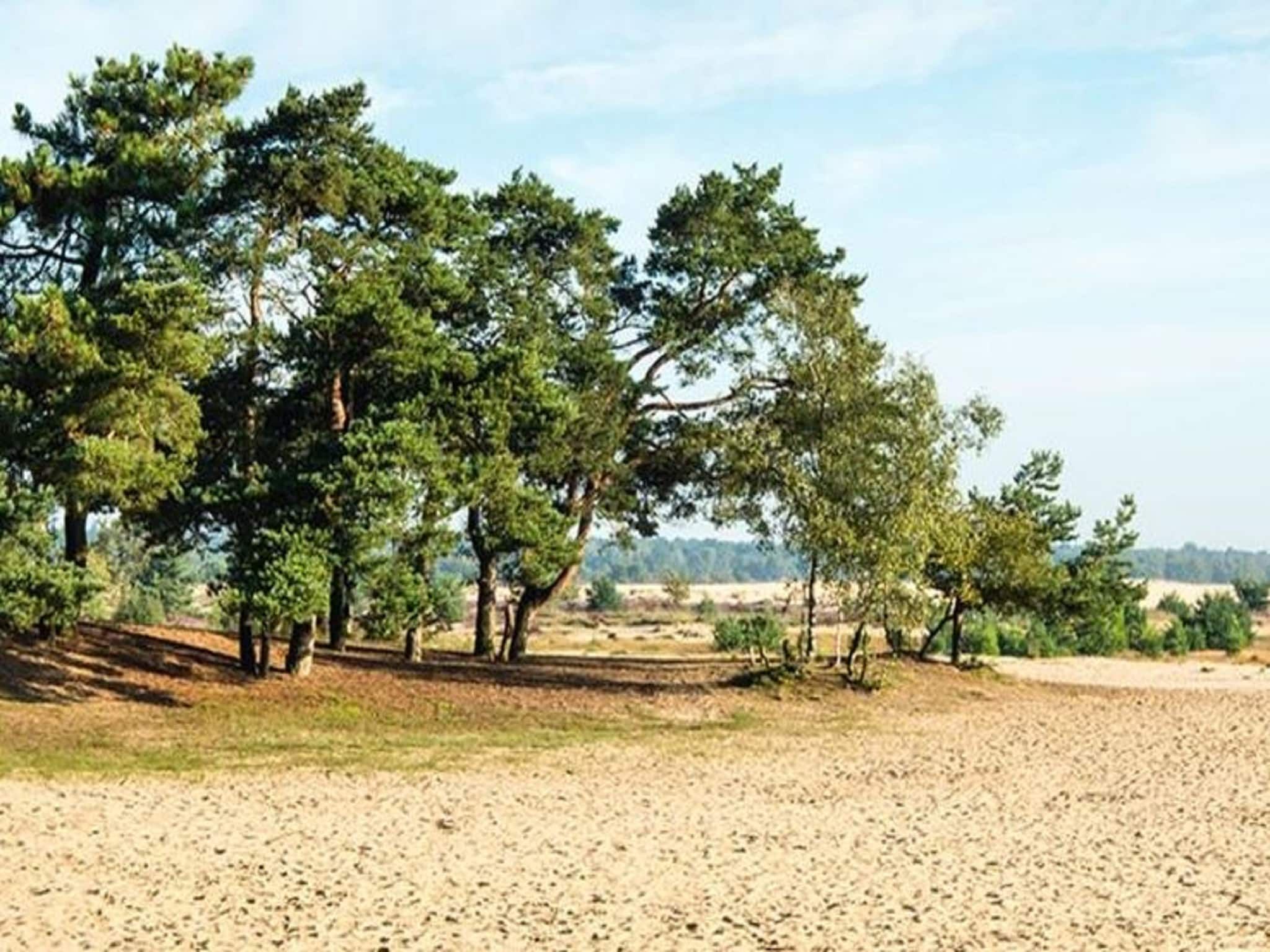 De omgeving van Villa Loonse Duinen in Drunen