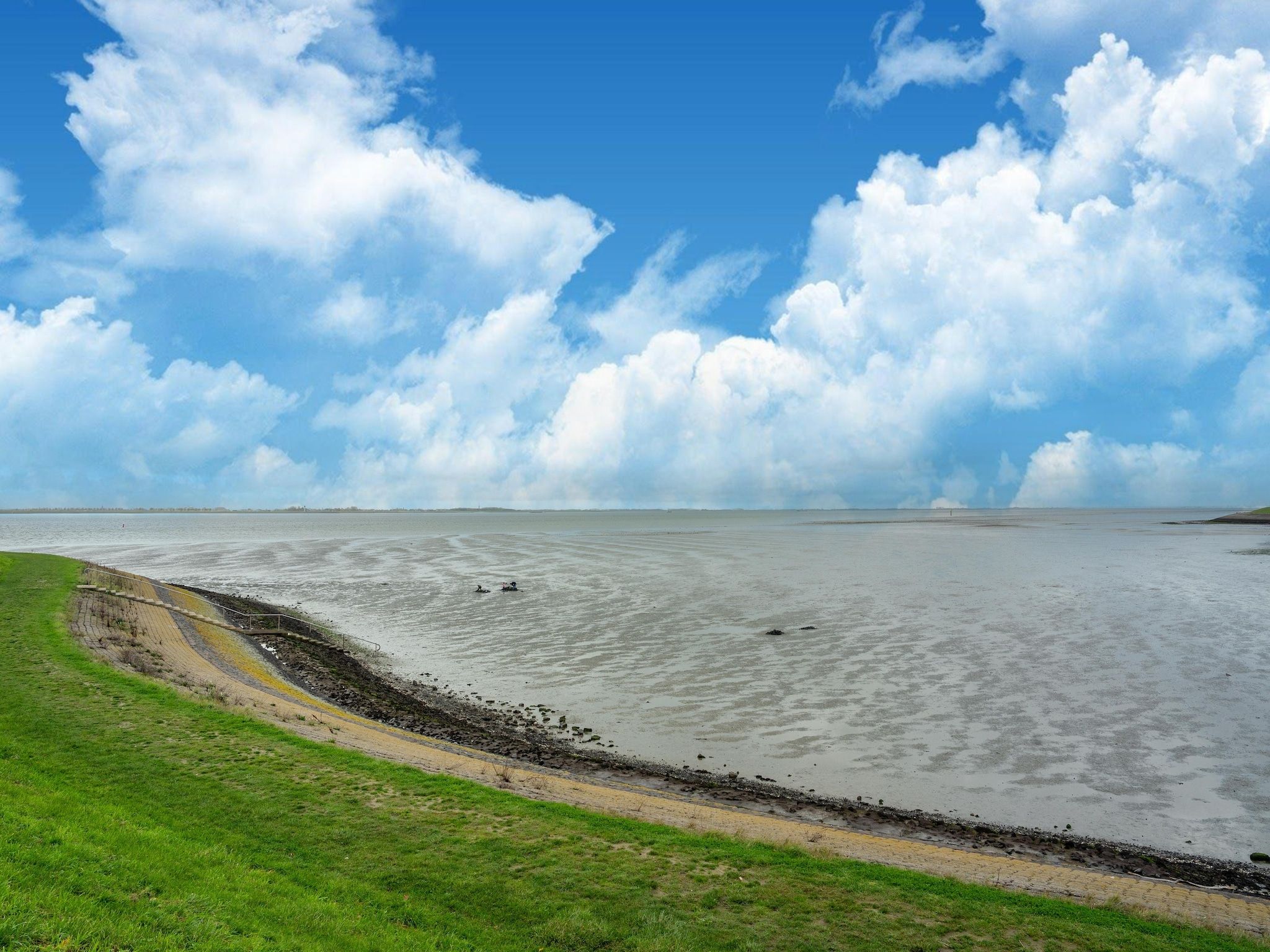 De omgeving van De Albatros Huis Nr 49 in Scherpenisse