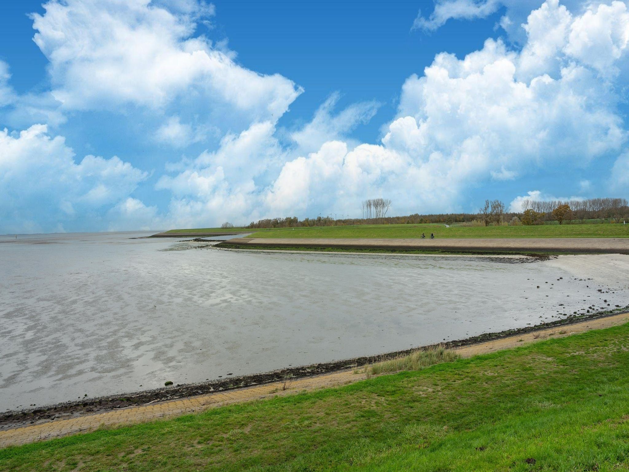 De omgeving van De Albatros Huis Nr 49 in Scherpenisse