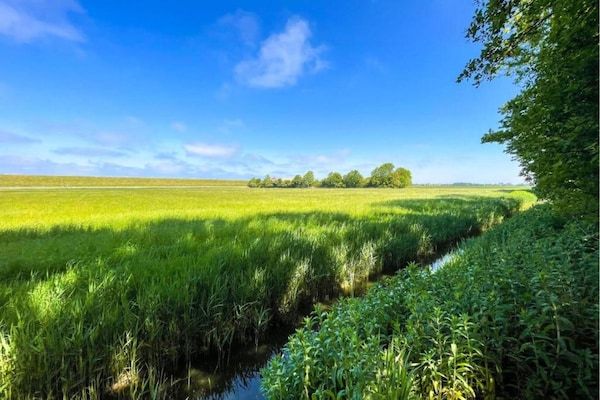Landhuis Wad Anders in Wierum - Foto 40 van 40