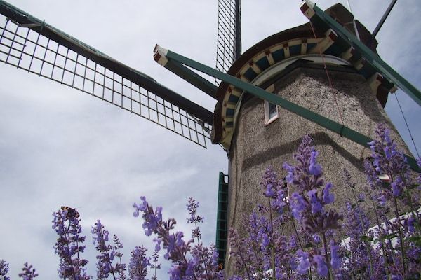 Onder de Molen 24 pers in Middenbeemster - Foto 40 van 40