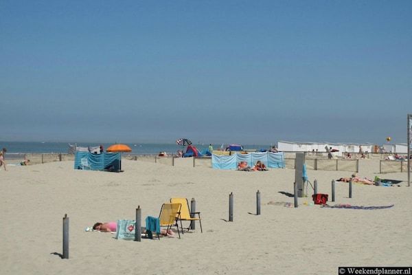 Kaapsduin in Nes - Foto 40 van 40