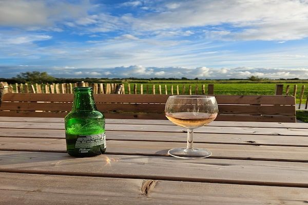 Friese Villa 8 in Leons in Leons - Foto 40 van 40