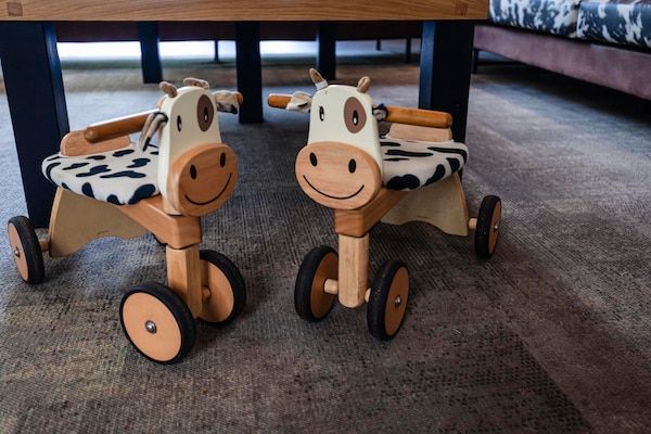 16 - Persons Family bungalow in Ewijk - Foto 33 van 33