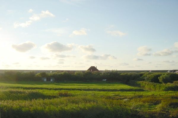Untagged - op de boerderij De Hoenderhave in Petten (5)