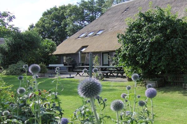 Untagged - Vakantiehuis in Anderen met zwembad in Anderen (2)