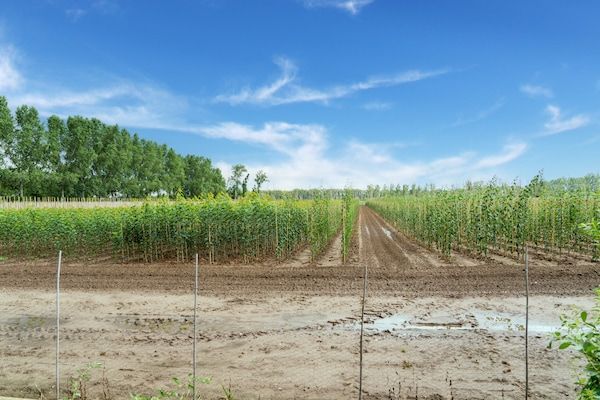Landgoed de Gun in Swolgen - Foto 40 van 40