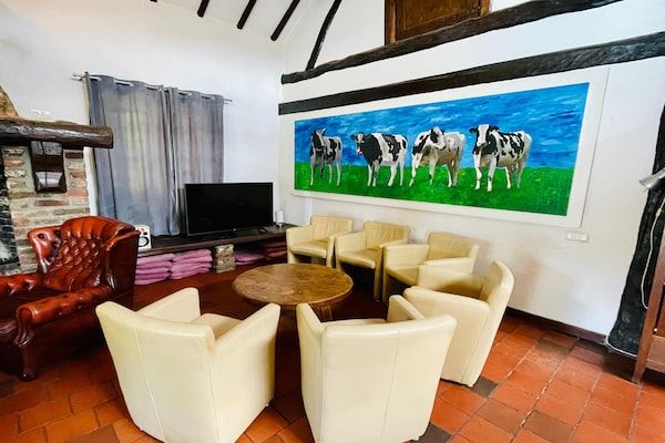 Los Elefantes in Sint Joost - Foto 2 van 40