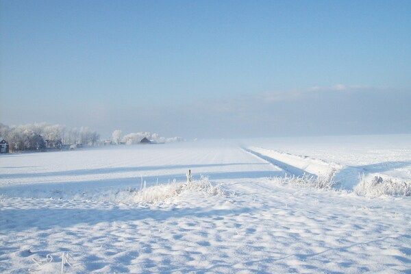 De Vakantie boerderij in Holwerd - Foto 40 van 40