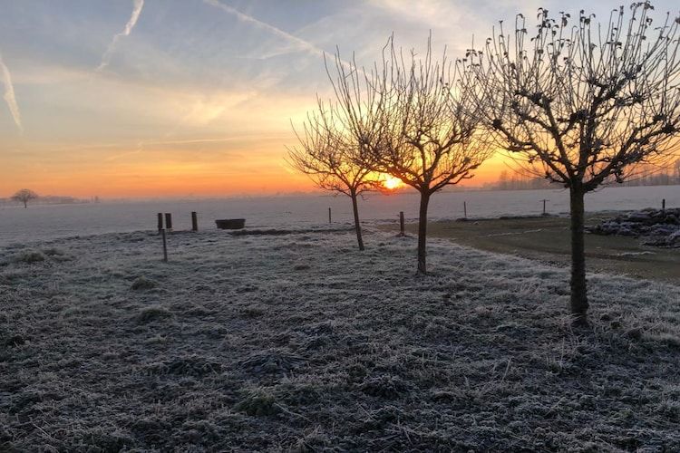 Het uitzicht vanaf Villa Grenszicht in Megchelen