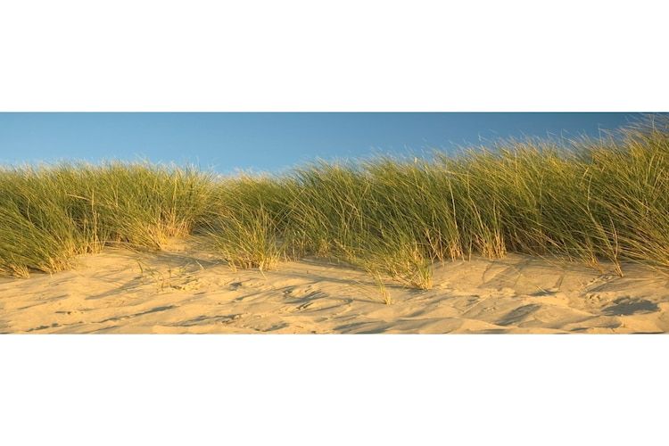 De omgeving van Zeeuwse Pracht in Colijnsplaat